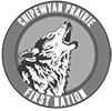 Chipewyan Prairie First Nations logo
